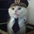 Dan Riggs's profile image