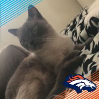 Yvonne Santiago's profile image