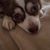 Marcia Spencer Bell's profile image