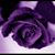 Davida T Thomas's profile image