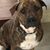 Kathee Rotherham's profile image