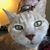 Brent Bonet's profile image