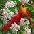 Cathy Cialone's profile image