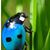 Christopher Benavides's profile image