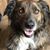 Sally Cook's profile image