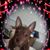 Sherry Cunningham's profile image
