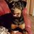 Tammy J Perea Smith's profile image