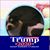 Irene Sochacki's profile image