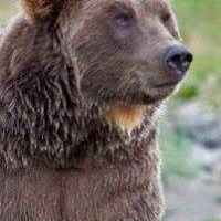 Carolyn Wulfhorst's profile image