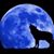 David Averill's profile image