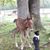 Kenda Woodburn's profile image
