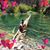 Monica Topete's profile image