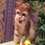 Gail Jenkins's profile image