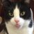 Vickie Snider's profile image