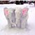 Evy Petit's profile image