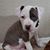 Kym Galloway's profile image
