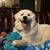 David Gorman's profile image