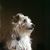 Penny Godier's profile image