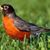 Sandy Schultz's profile image