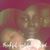 Bizzell Em's profile image