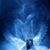 Denise M. Howell's profile image