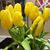 Maggie May's profile image
