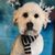 Beverly Whitehouse's profile image