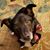 Jandy OrAle's profile image