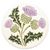 Shannon Barnes-Barbour's profile image