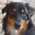 Sue Ellen Small Jewell's profile image