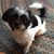 Gail McQuade Langdon's profile image
