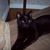 Lynnette Wilmot's profile image