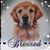 Lynn Beckwith Anderson's profile image