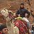 Lisa Tahir's profile image