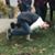Devin Lanter's profile image