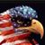 Peter Calamusa's profile image