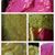 Maria Elena Villasenor's profile image