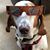 Bruce Riche's profile image
