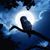 Jennifer Rivera's profile image