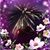 Britt Rene Fairbairn's profile image