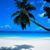 Tammy Irwin-Behm's profile image