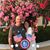 Shanon Williams Tones's profile image