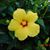 Donna Gilbreath's profile image