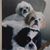Ann Shepich's profile image
