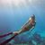 Alicia Barreto-Ray's profile image