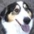 Michael Nichols's profile image