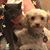 Lucy Gorbachev's profile image