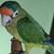 Lelvia Smith's profile image