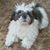 Bruce Stober's profile image