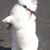 Brian Sheahan's profile image